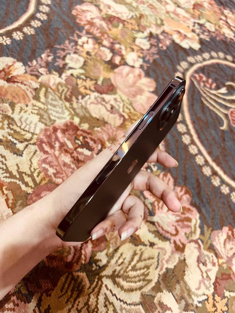 Apple iPhone 13 Pro Max 1