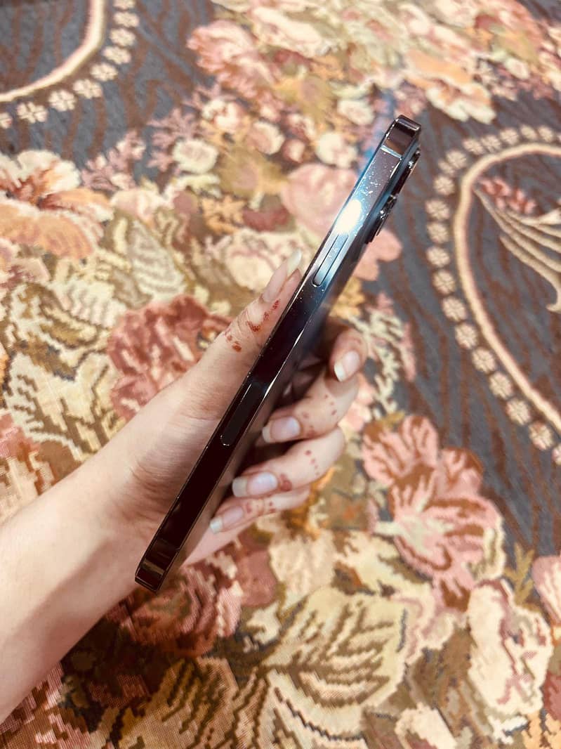 Apple iPhone 13 Pro Max 2