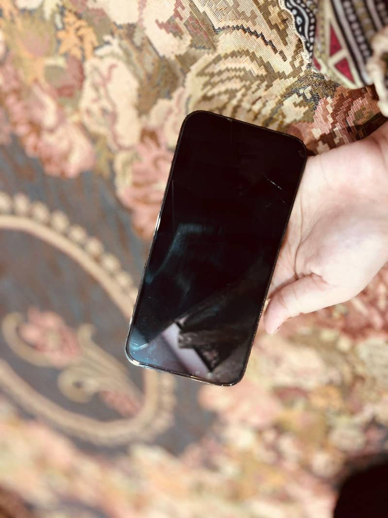 Apple iPhone 13 Pro Max 3
