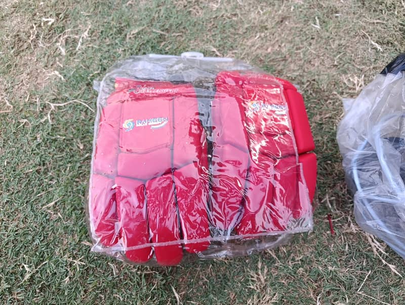 Extremely Cheap Cricket kit 2