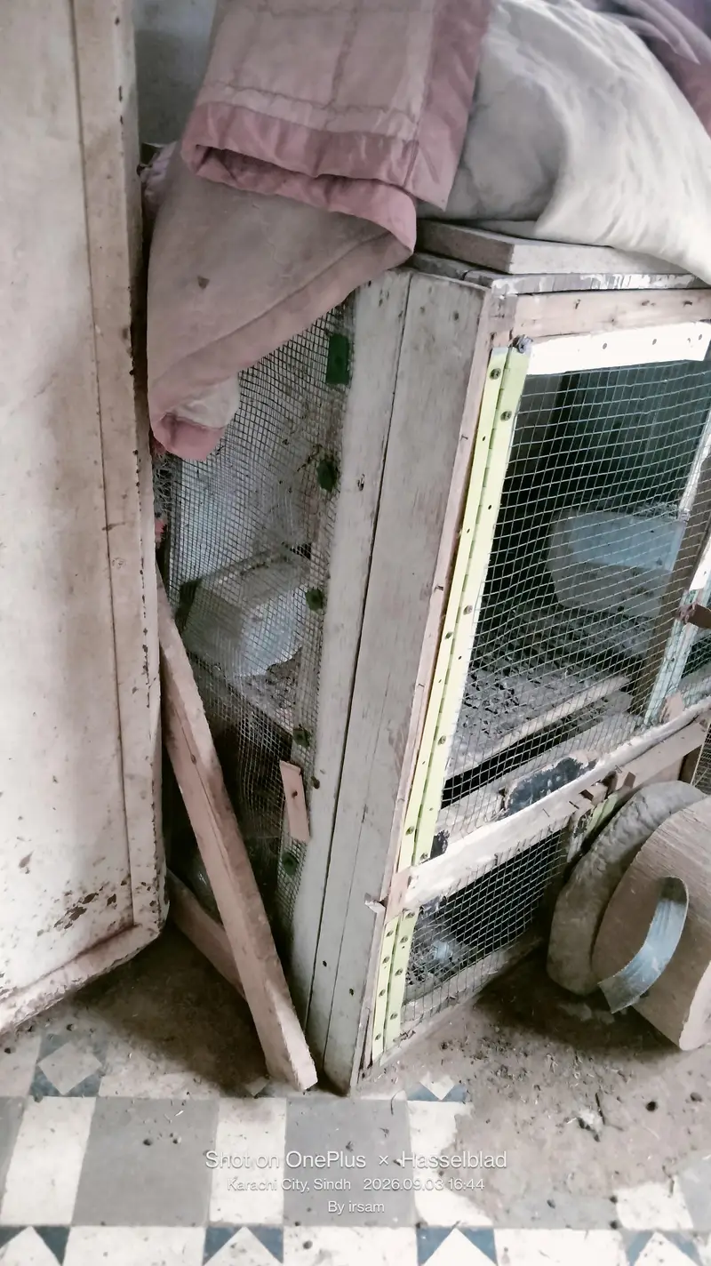 wooden cage — photo 2