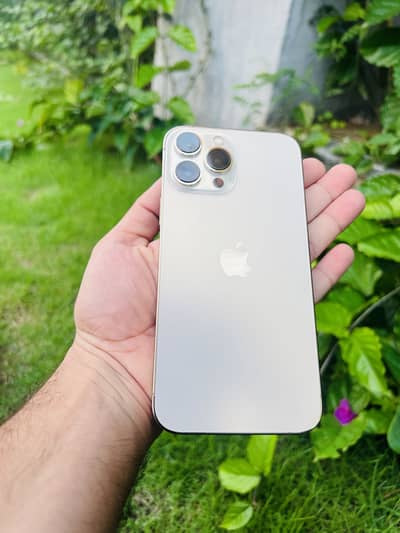 Apple iPhone 13 Pro Max