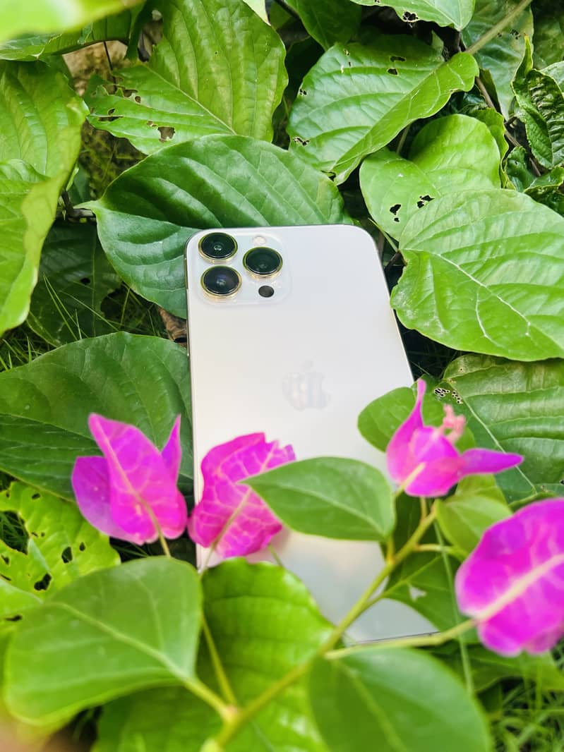 Apple iPhone 13 Pro Max 1