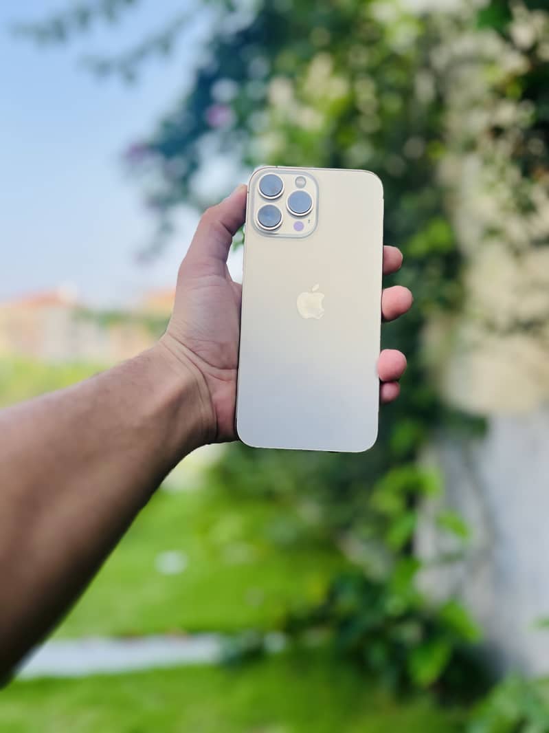 Apple iPhone 13 Pro Max 2