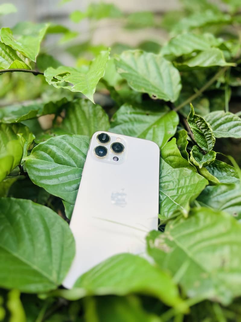 Apple iPhone 13 Pro Max 3