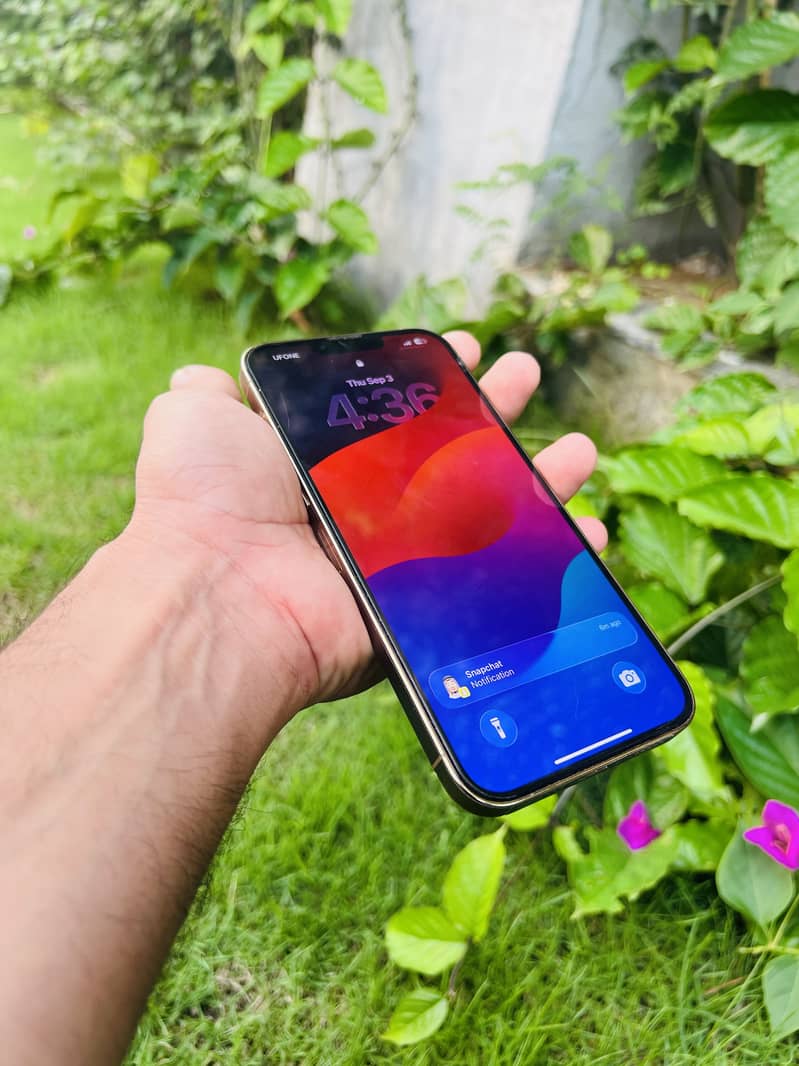 Apple iPhone 13 Pro Max 6