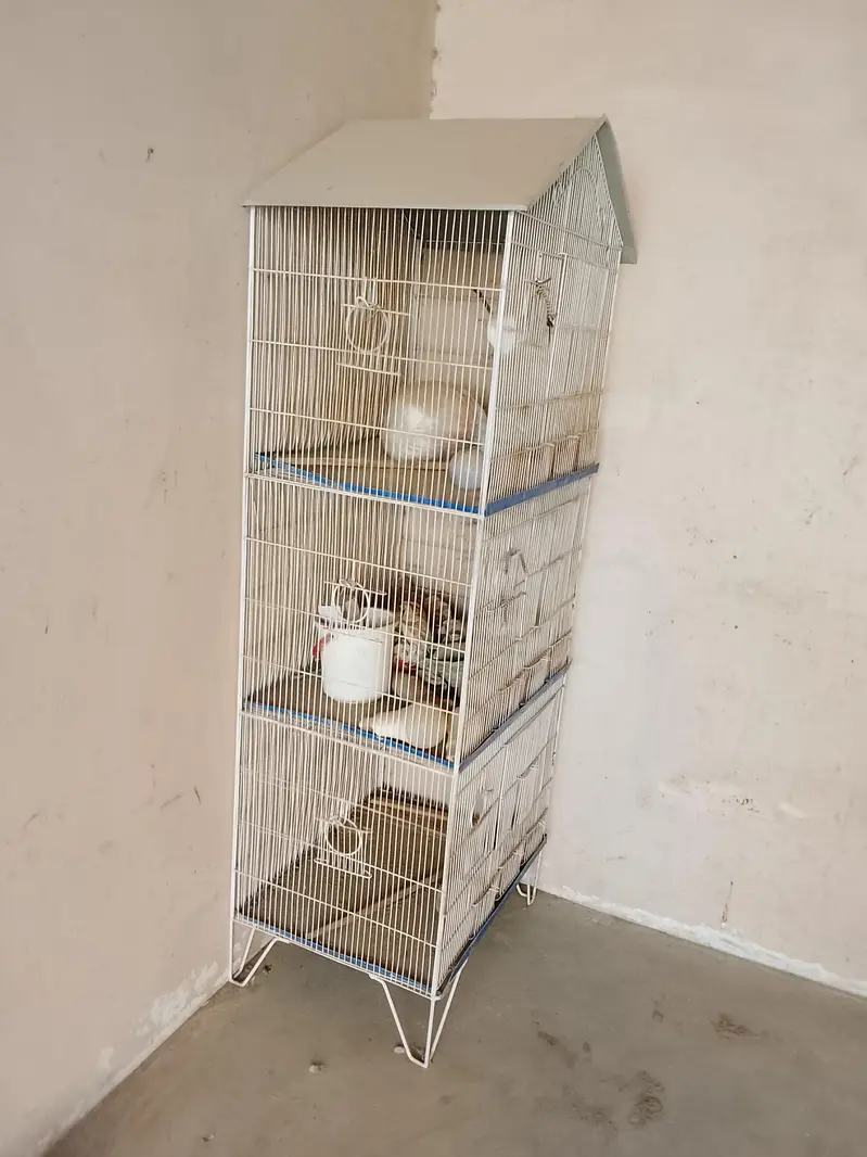 three portion gauge for sale urgent — photo 4