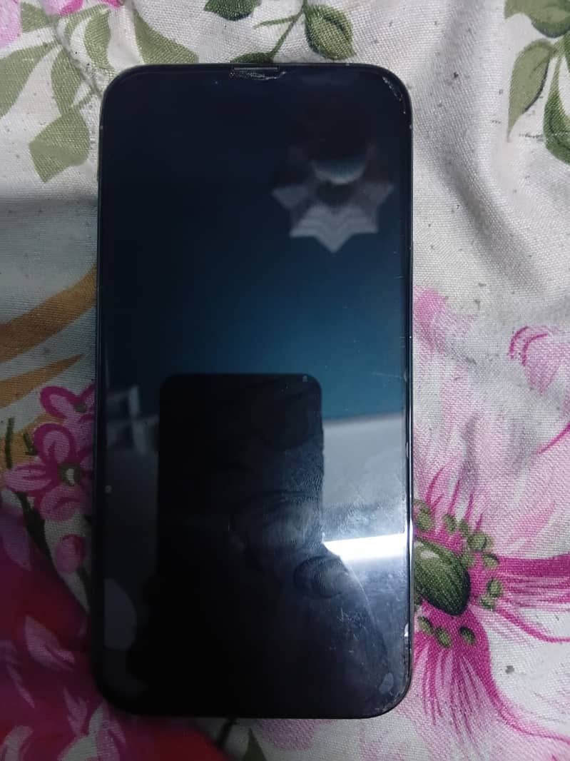 Apple iPhone 13 Pro Max 0