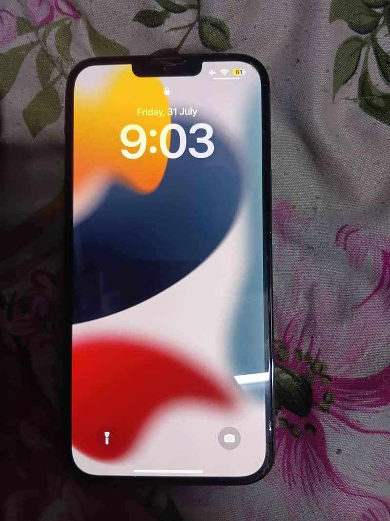 Apple iPhone 13 Pro Max 1