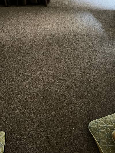 Carpet For Sale