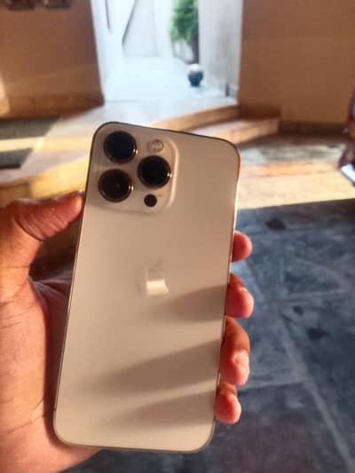Apple iPhone 13 Pro