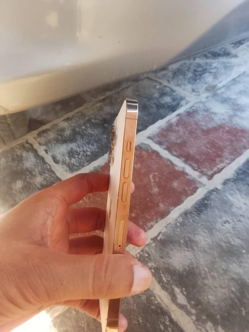 Apple iPhone 13 Pro 2