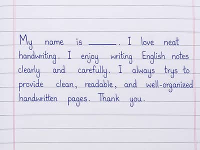 Assignment writer