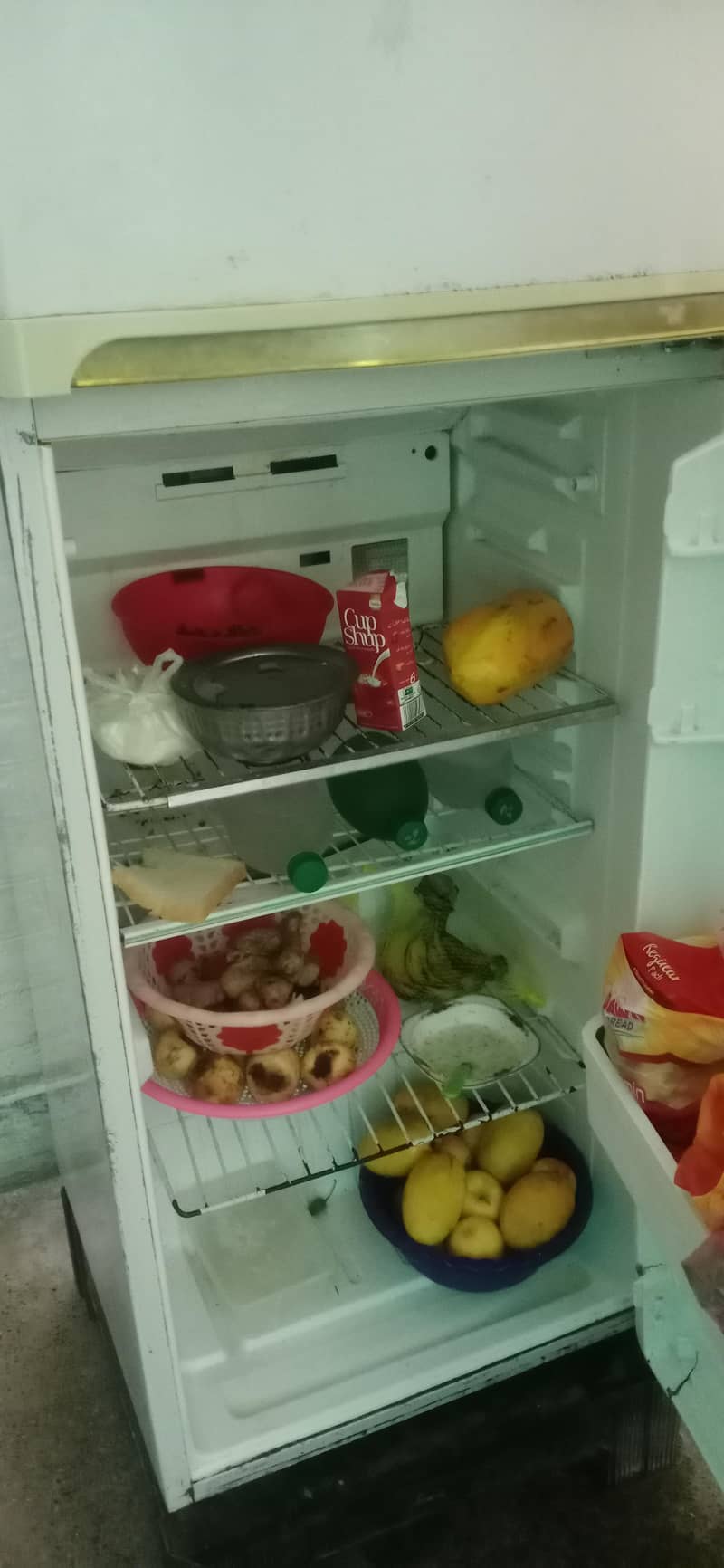 fridge 1
