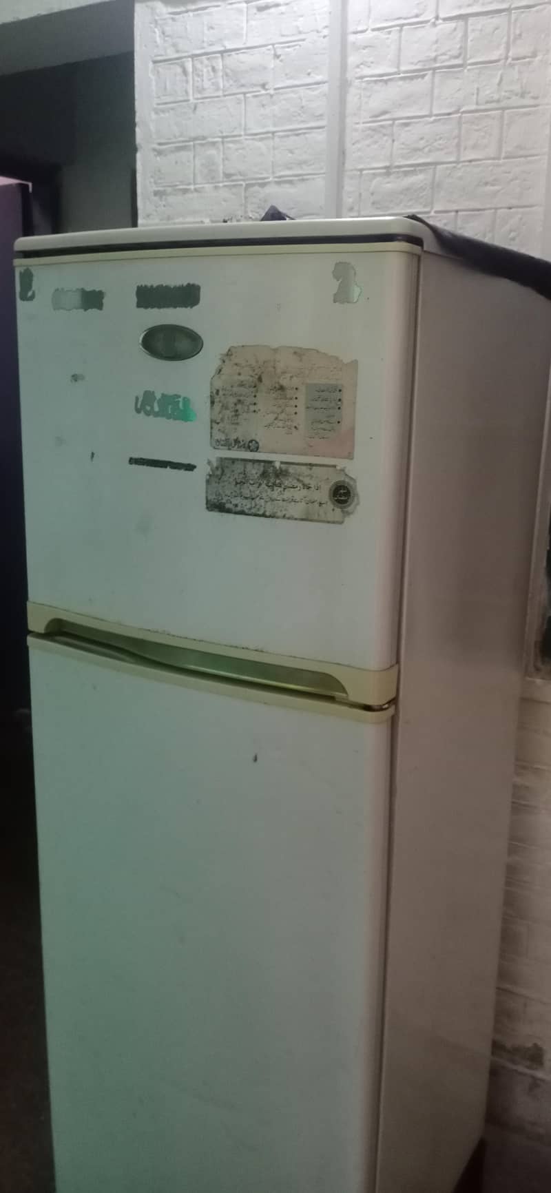 fridge 6