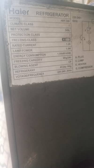 hair refrigerator for sale