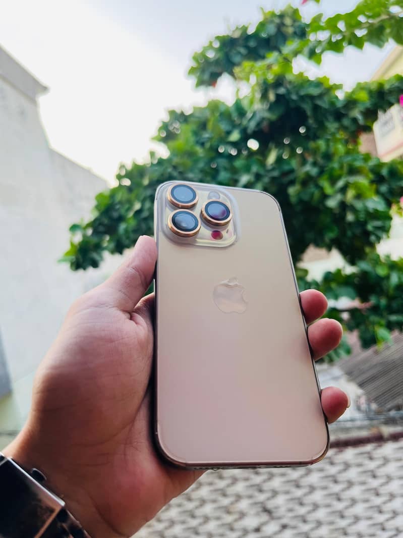 Apple iPhone 14 Pro 1