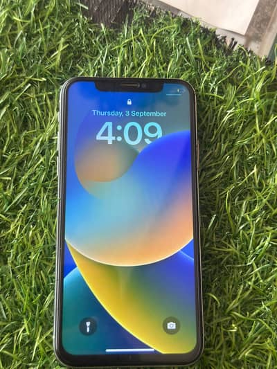 Apple iPhone X