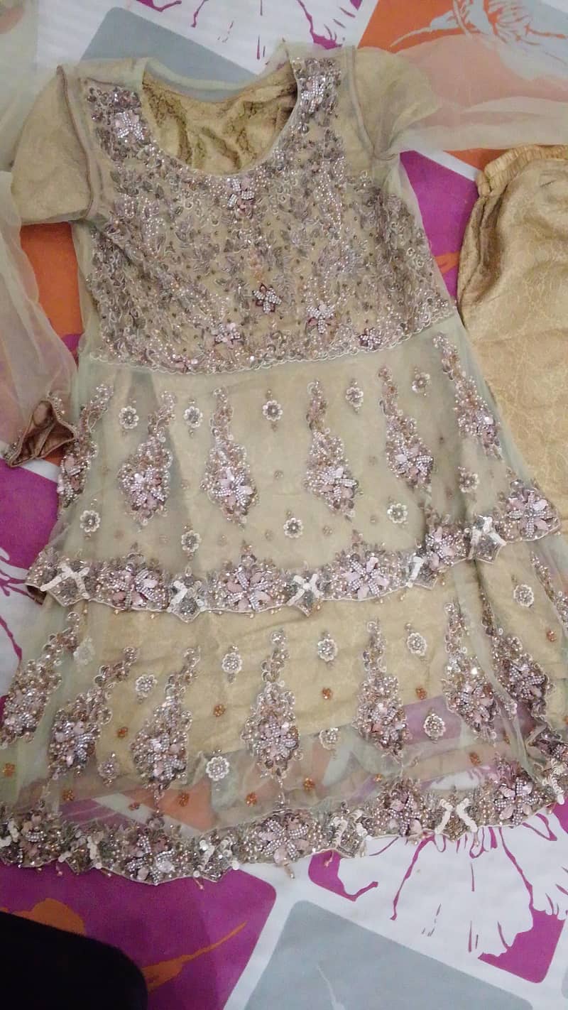 medium size 1