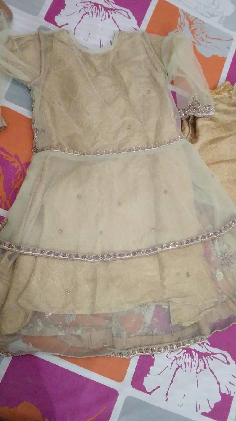 medium size 3