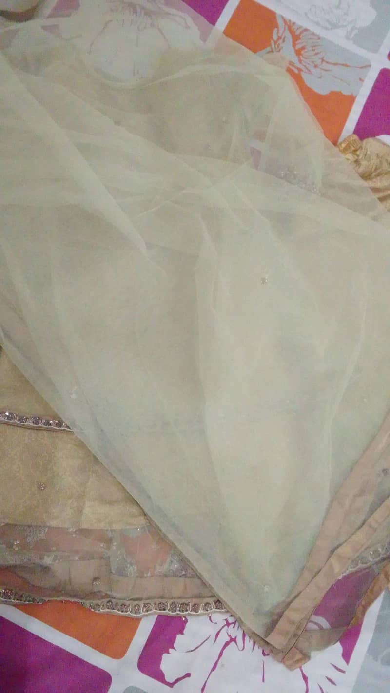 medium size 4
