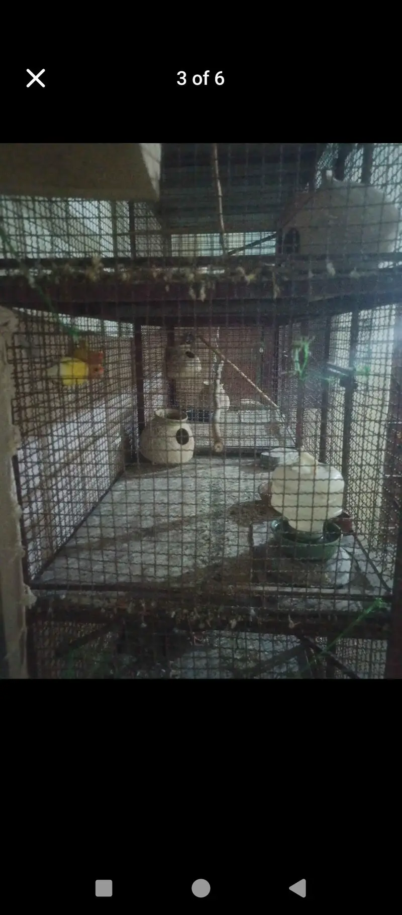 Cage 7ft Height x 6ft Width x 2ft Depth - 90KG+ Strong Metal — photo 6