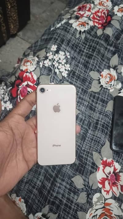 two iphone 8
