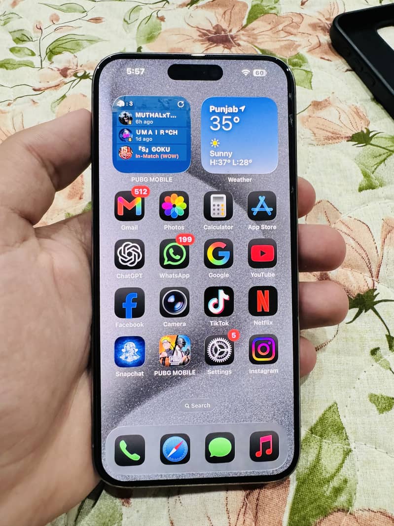 Apple iPhone 15 Pro Max 1
