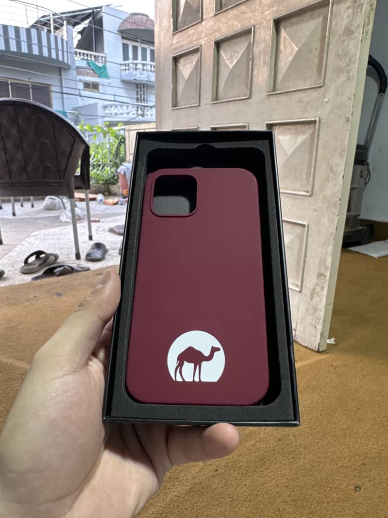 iPhone cases 0