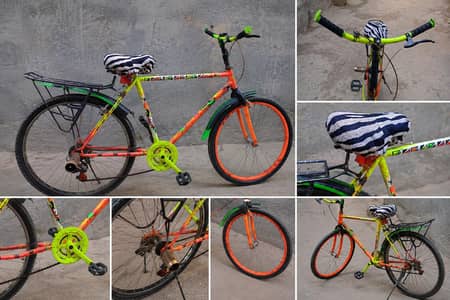 Customized Stylish Bicycle for Sale