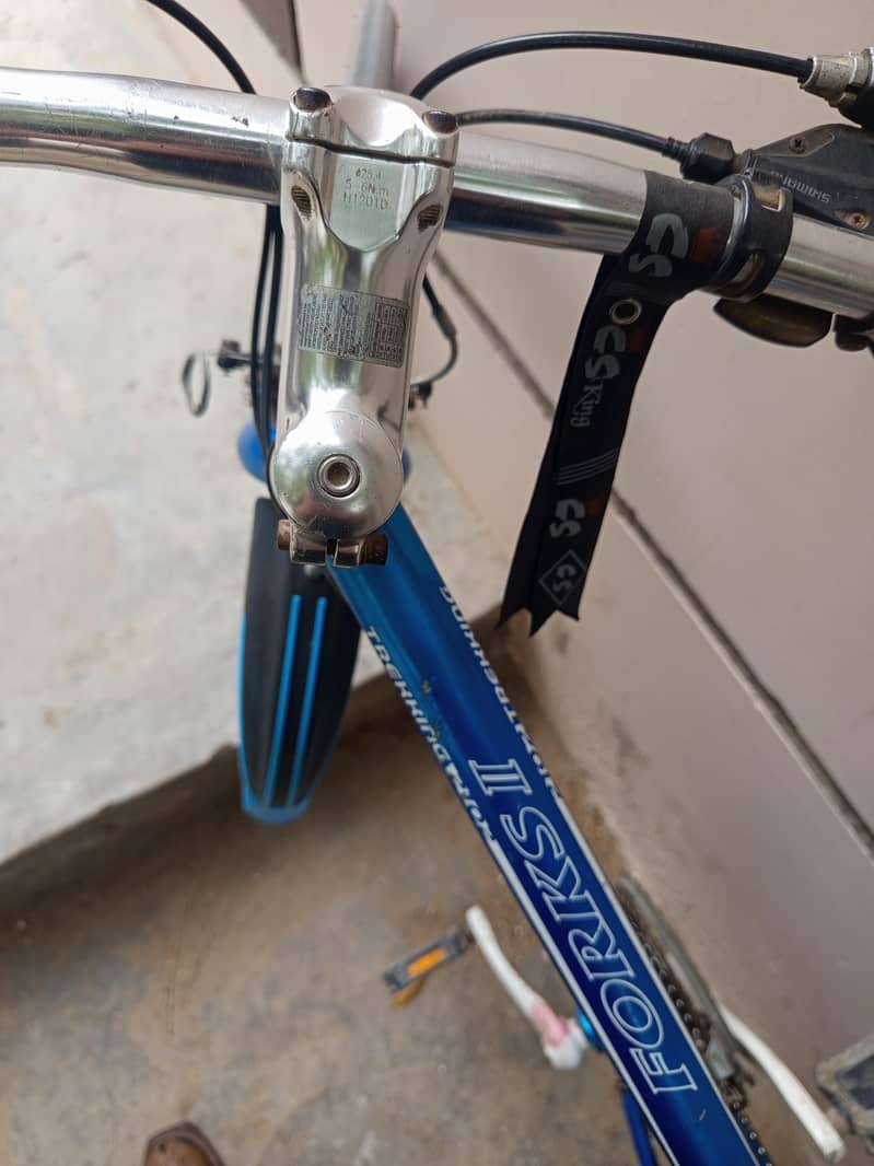 Bicycle 1