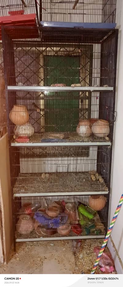 cages for sale