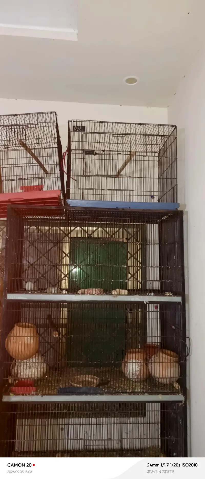 cages for sale — photo 2