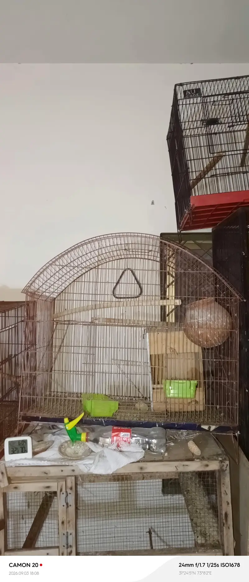 cages for sale — photo 3