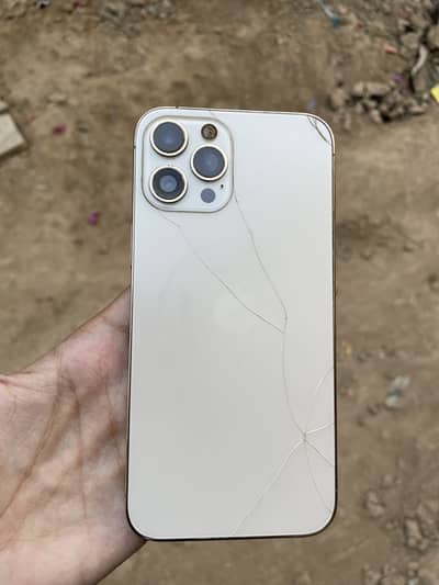 Apple iPhone 12 Pro Max