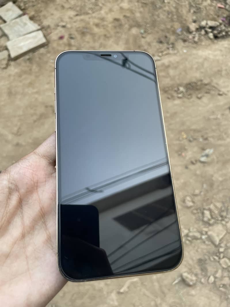 Apple iPhone 12 Pro Max 1