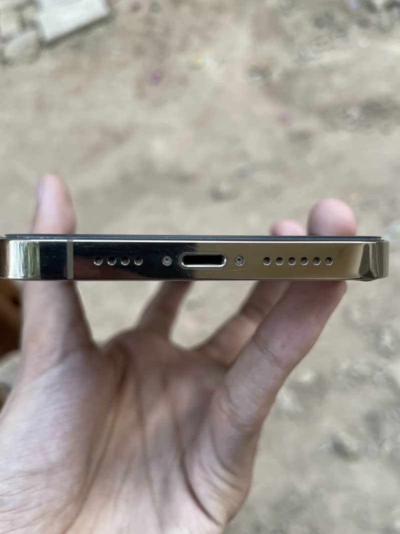 Apple iPhone 12 Pro Max 2