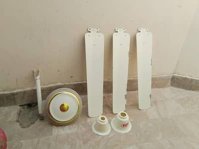 Fan ceiling fan Sufi fan