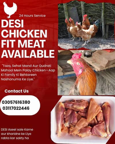 Fresh Desi Murga & Aseel Chicken Gosht - Home Delivery Available