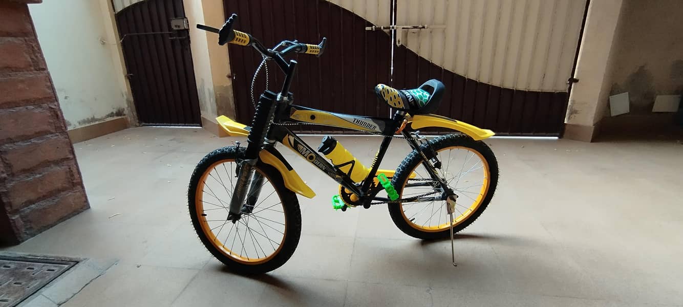 cycle 20 inch 1