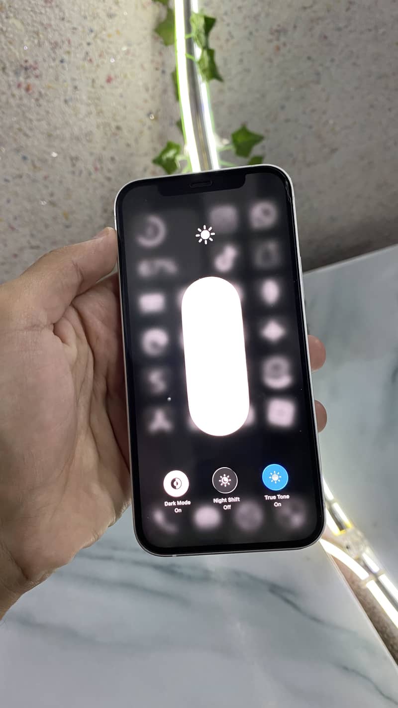 Apple iPhone 12 2