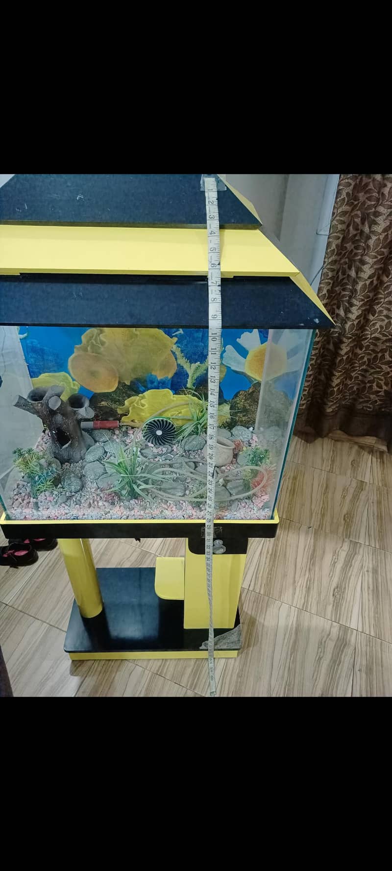 fish aquarium 2