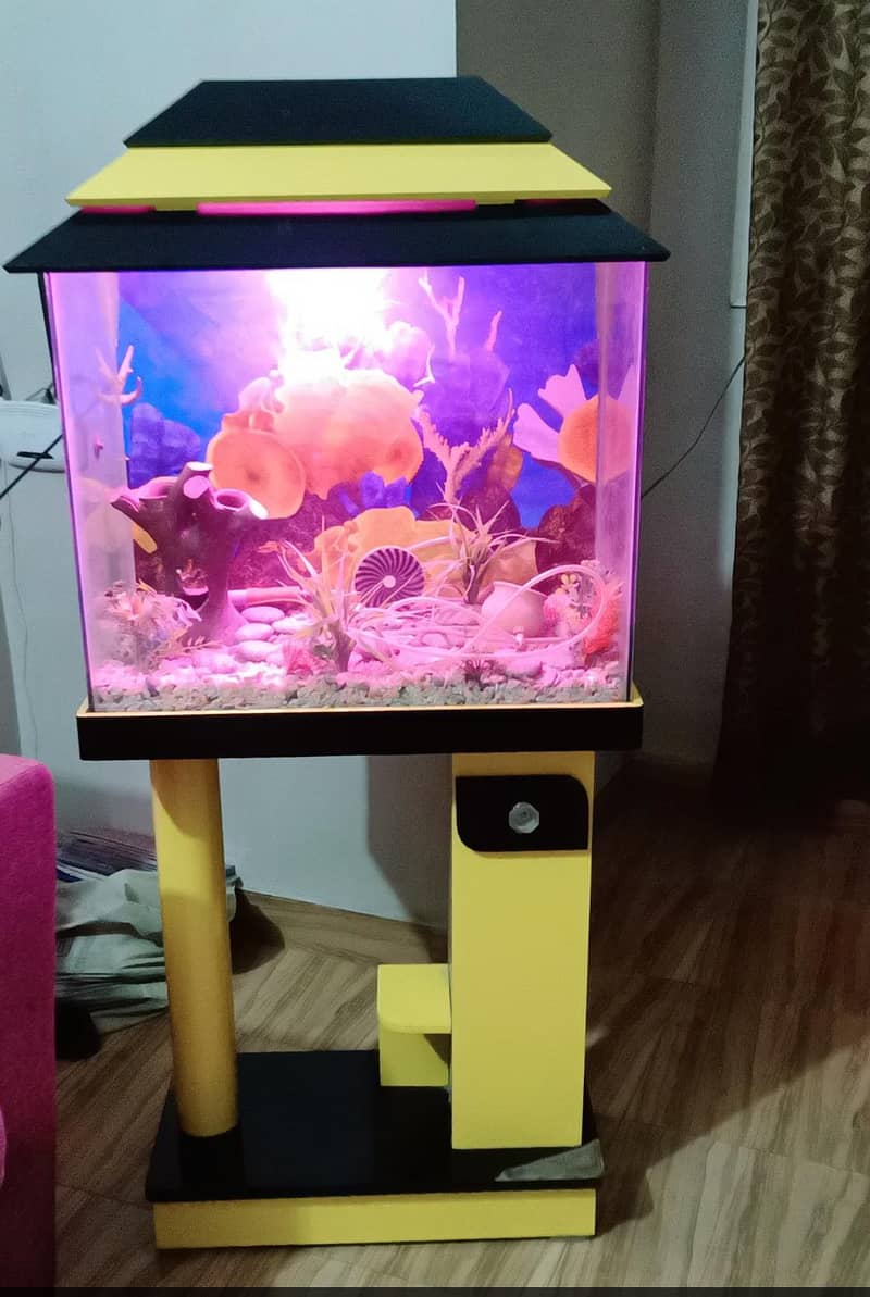 fish aquarium 3
