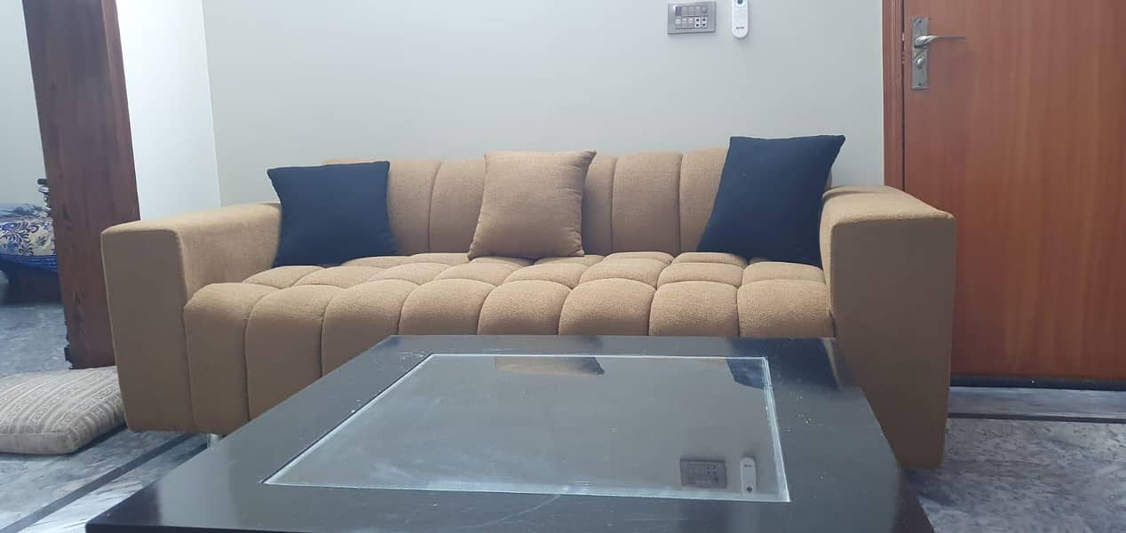 Sofas and center table 5