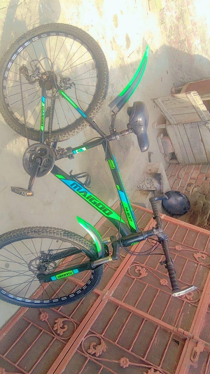 maigoo 1