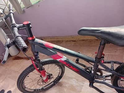 cycle