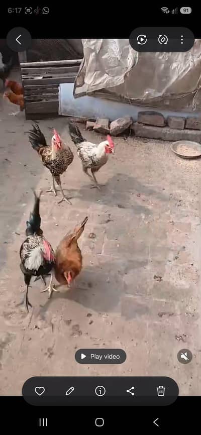 Urgent sale need money