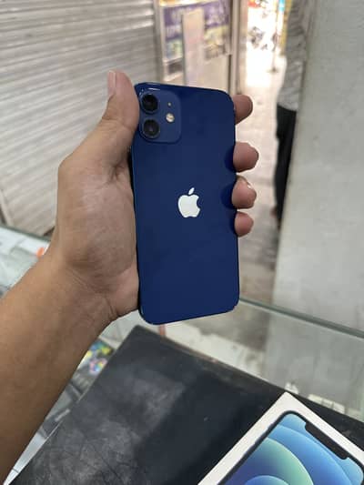 Apple iPhone 12