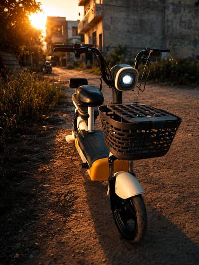 Electric Scooty for sale