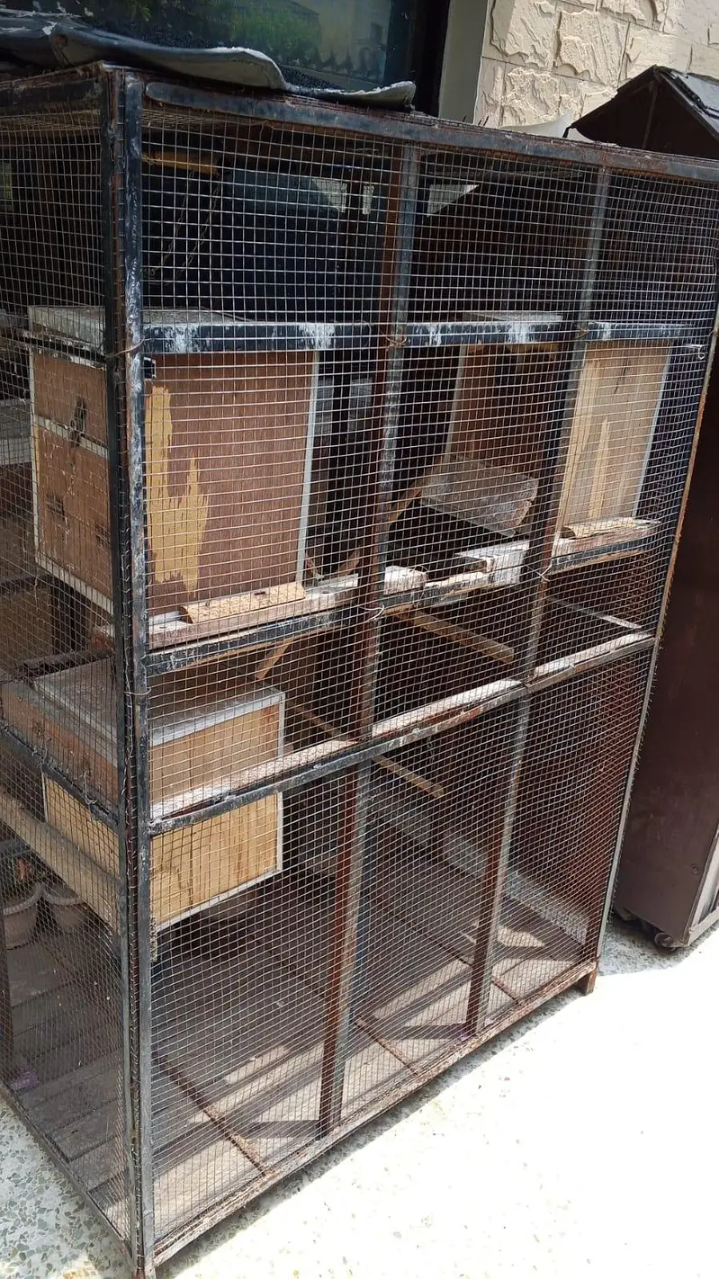 Cage size 4/4.5 /3.5 for sale location Rawalpindi peshawar — photo 2